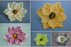 magnolia-wyrobowa-pikat-flor-grudziadz (1)