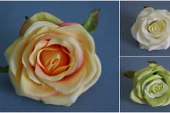 roza-wyrobowa-pikat-flor-grudziadz (4)