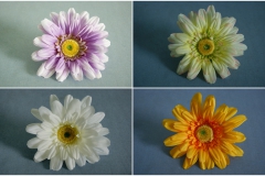 kwiaty-wyrobowe-pikat-flor-grudziadz (56)